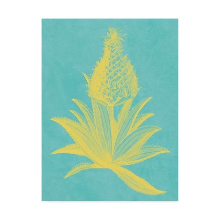 Vision Studio 'Pineapple Frais I' Canvas Art,24x32